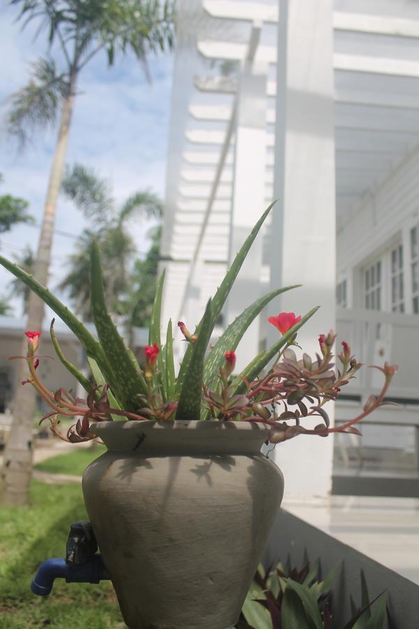Casa Blanca Gili Air Hotel Buitenkant foto